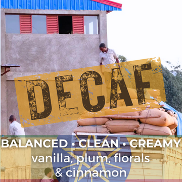 Ethiopia Sidama Worku Buche Washed Decaf